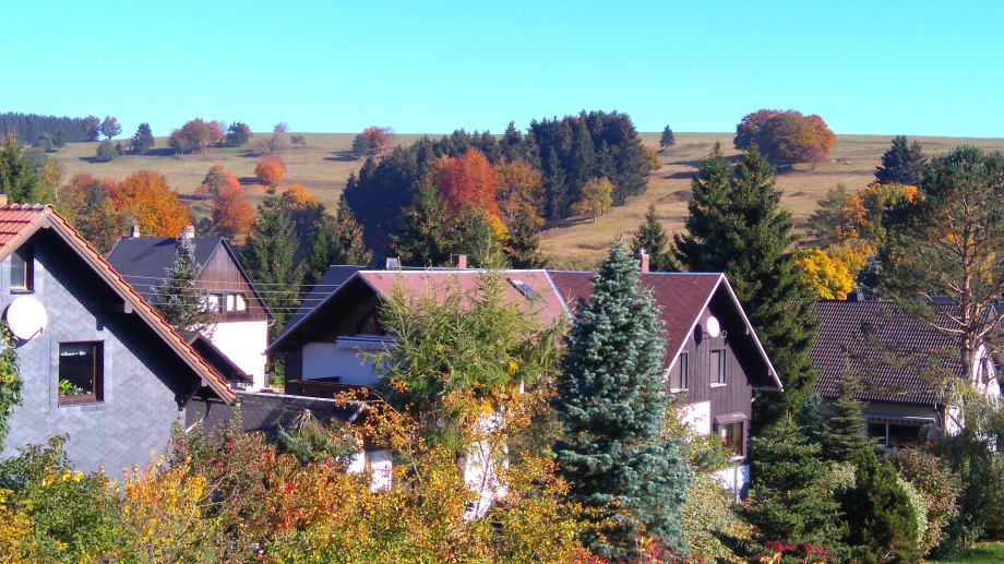 Dorf im Herbst