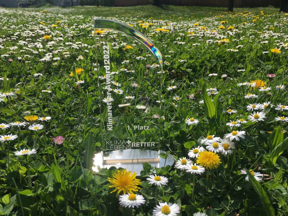 In einem Meer aus Gänseblümchen steht die Trophäe des Klimaretter-Awards aus Glas mit der Beschriftung "1. Platz".