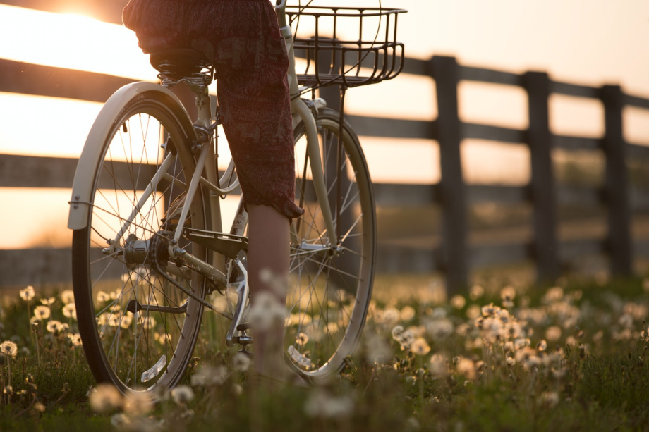 Das Bild zeigt eine Radfahrerin auf einer Wiese bei Sonnenuntergang.