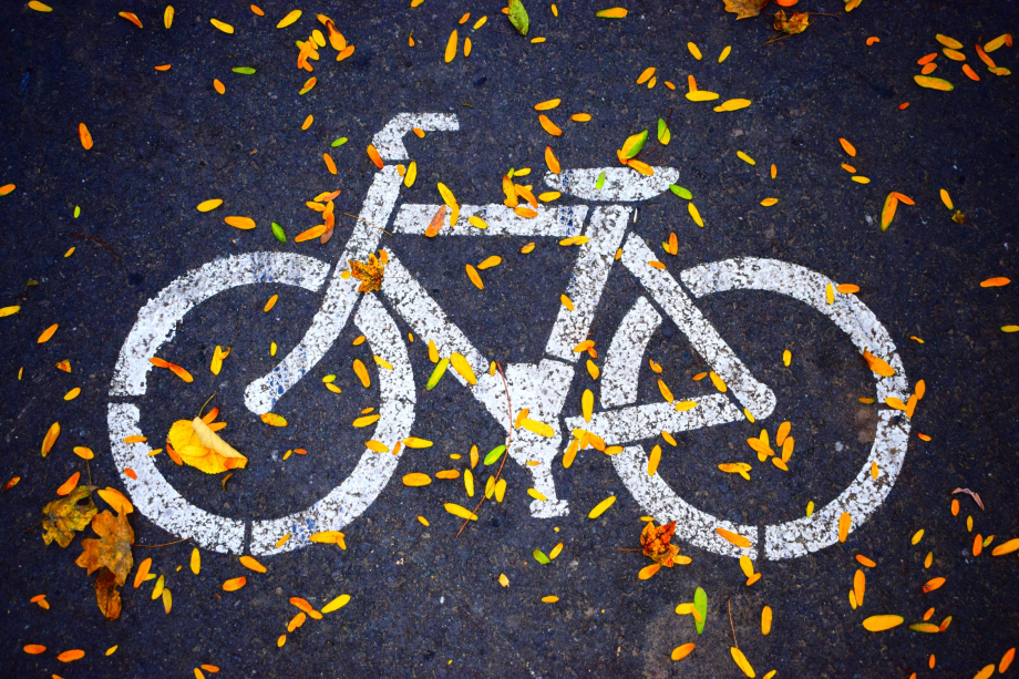 Das Bild zeigt ein auf einer Straße aufgemaltes Fahrrad mit Herbstblättern.