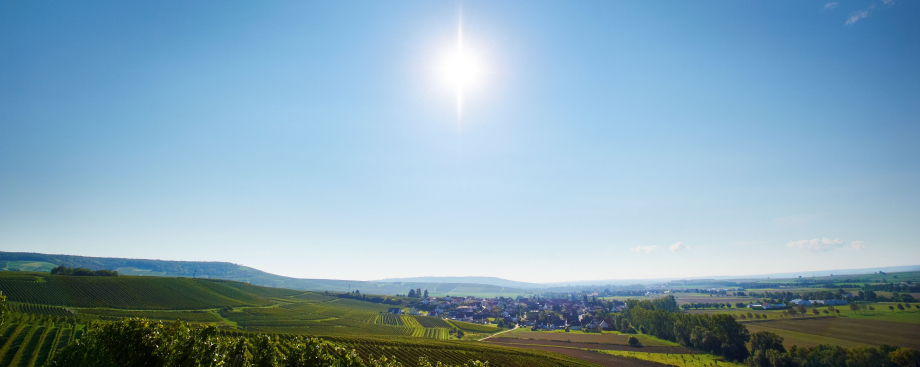 Panorama der Verbandsgemeinde Sprendlingen-Gensingen