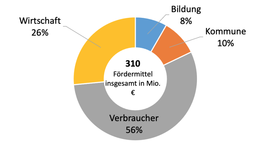 Fördersummen der NKI für innovative Klimaschutzprojekte nach Bereichen