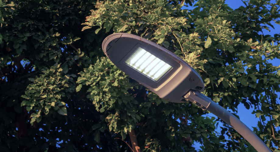 Moderne Straßenlaterne mit LED-Leuchte für energieeffiziente Beleuchtung, im Hintergrund ein Baum