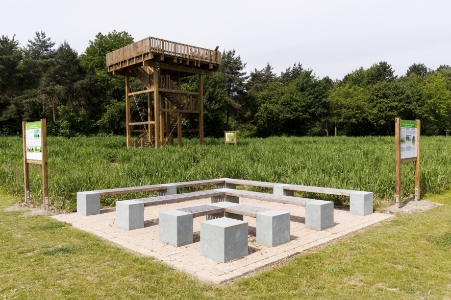 Wiese mit hohem Gras, Sitzbänke und ein Turm aus Holz, dort steht ein Mann