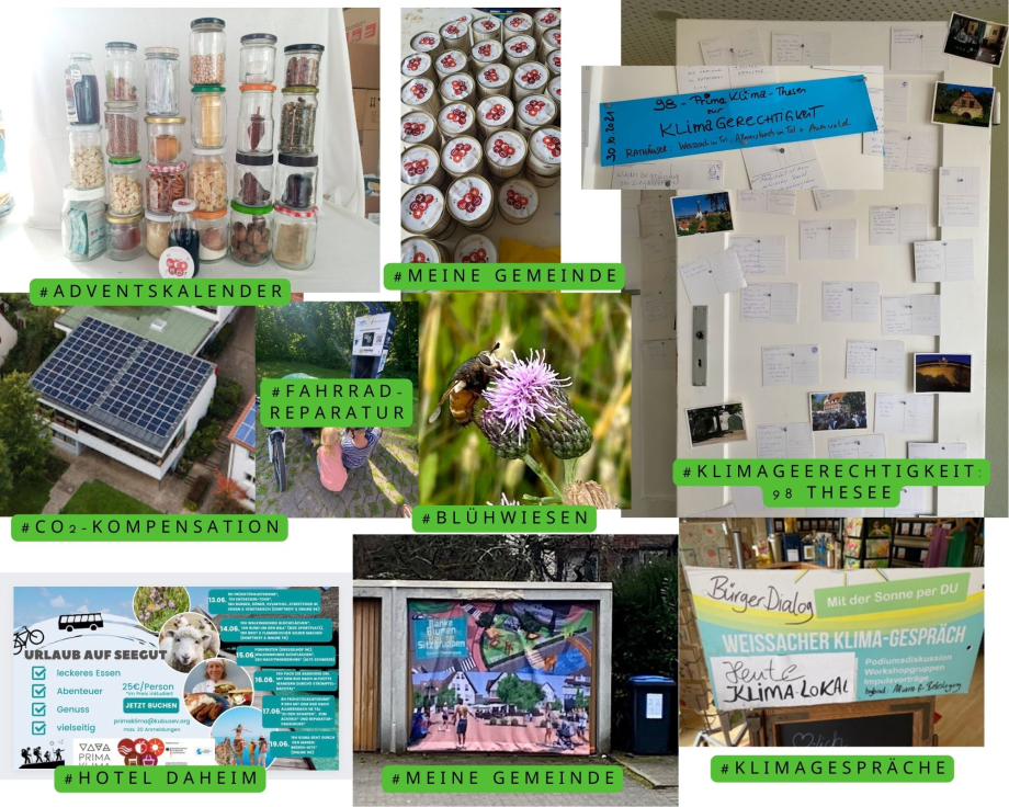 Impressionen des Projektes 