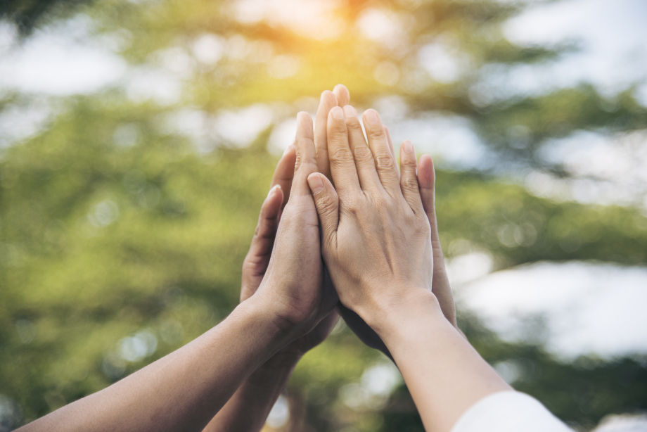 4 Hände formen ein "High-Five" in der Luft vor einer Naturkulisse.