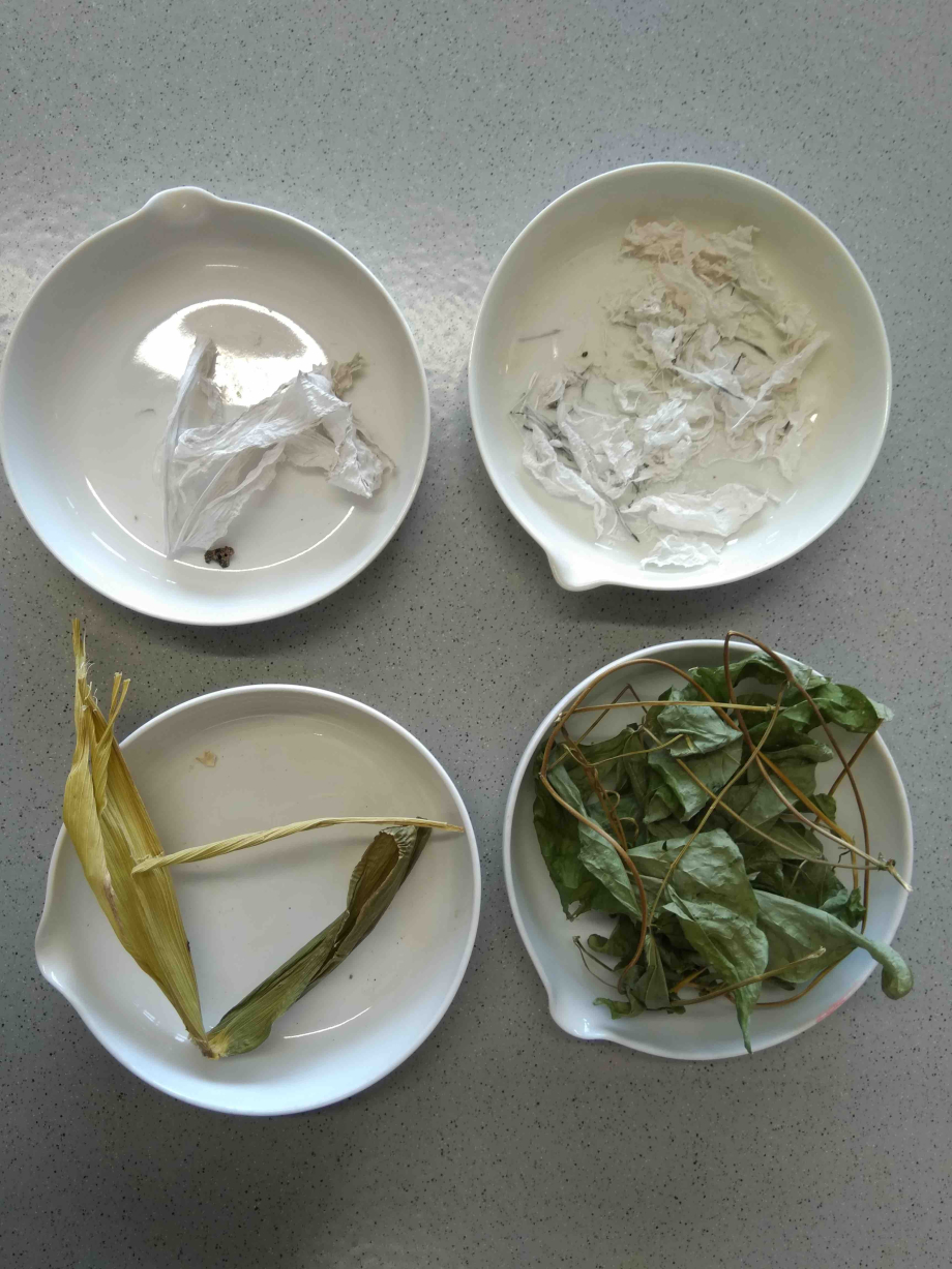 Bestandteile von Feuerbohne und Mais