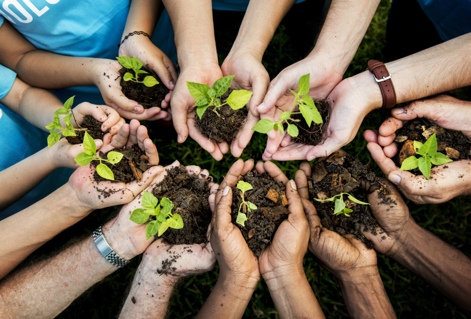 People Hands Cupping Plant Nurture Environmental