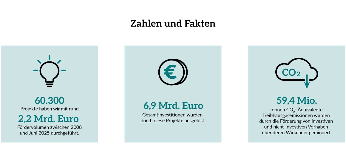 Infografik zu den Zahlen und Fakten