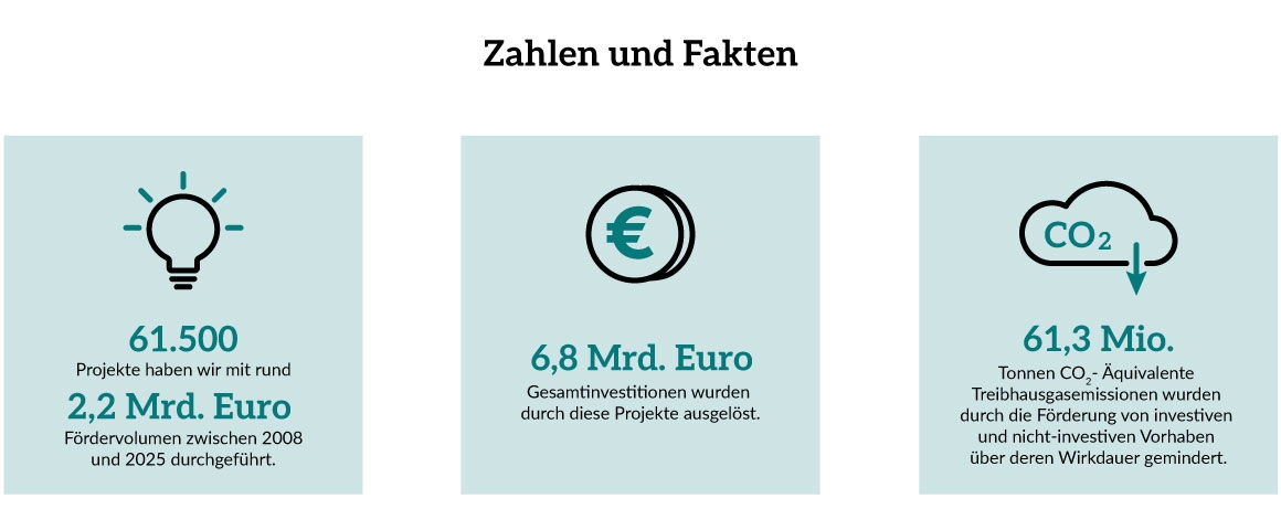 Infografik zu den Zahlen und Fakten