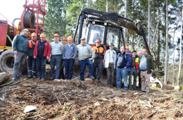 Projekt Steillagenmobilisierung: Durchforstung des ehemaligen Niederwaldes entlang des Moseltals - Fachkräfte schaffen das Brennholz aus dem Niederwald