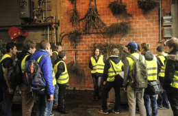 In dieser Baumschule wurden Berufsmöglichkeiten im Garten- und Landschaftsbau vorgestellt