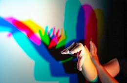 Bunte Schatten