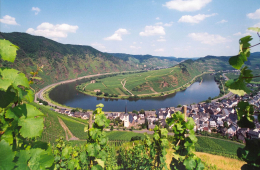 Moselschleife bei Bremm im Landkreis Cochem-Zell