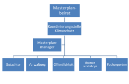 Organisationstuktur Masterplan 100 % Klimaschutz