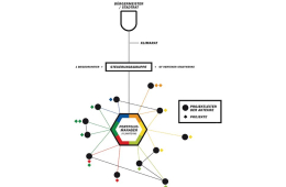 Organisationsstruktur Masterplan 100 % Klimaschutz