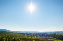 Panorama der Verbandsgemeinde Sprendlingen-Gensingen