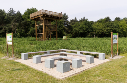 Wiese mit hohem Gras, Sitzbänke und ein Turm aus Holz, dort steht ein Mann