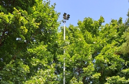 LED-Leuchten am Sportplatz Pohlhausen