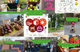 Impressionen des Projektes 