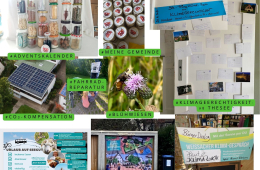 Impressionen des Projektes 