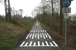 Ein asphaltierter Radweg mit weißer Markierung für Radfahrer am Boden.