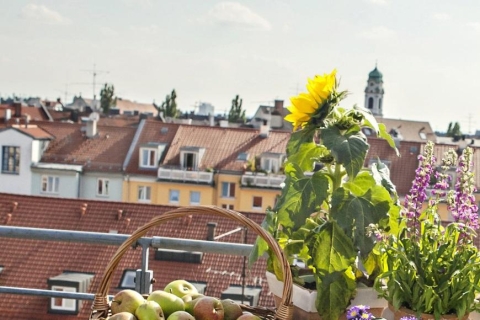 Auf einem Balkon stehen Pflanzen und ein Korb mit Äpfeln.