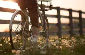 Das Bild zeigt eine Radfahrerin auf einer Wiese bei Sonnenuntergang.