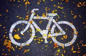 Das Bild zeigt ein auf einer Straße aufgemaltes Fahrrad mit Herbstblättern.