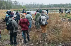 Gruppe von Menschen wandert durch ein Moorgebiet während einer Exkursion.