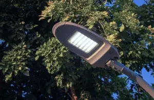 Moderne Straßenlaterne mit LED-Leuchte für energieeffiziente Beleuchtung, im Hintergrund ein Baum