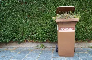 Braune Mülltonne mit offenem Deckel und Pflanzenabfällen vor einer Hecke auf gepflastertem Boden
