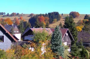 Dorf im Herbst