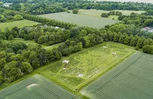 Ein Feld aus hohem Gras in Labyrinthform von oben