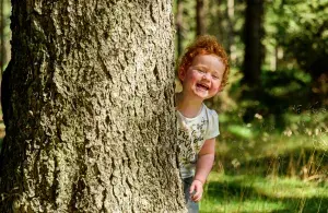 Ein Kind schaut lachend hinter einem Baum hervor, im Hintergrund Wald.