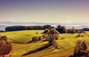 Das Bild zeigt Wiesen und Bäume vor einem Alpenpanorama.